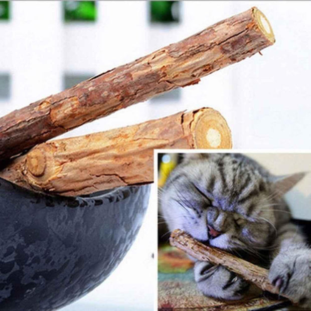 5Pcs/lot Cat Cleaning Teeth Pure Natural Catnip - Sunny Side Store