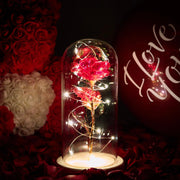 Galaxy Rose Eternal Lamp - Sunny Side Store