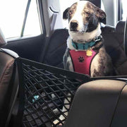 High Quality Premium Pet Car Net Petition - Sunny Side Store