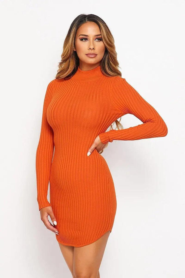 Knit Mock Neck Round Dress CCWHOLESALECLOTHING