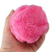 Magic Roller Ball Toy Dog Cat Pet Toy - Sunny Side Store