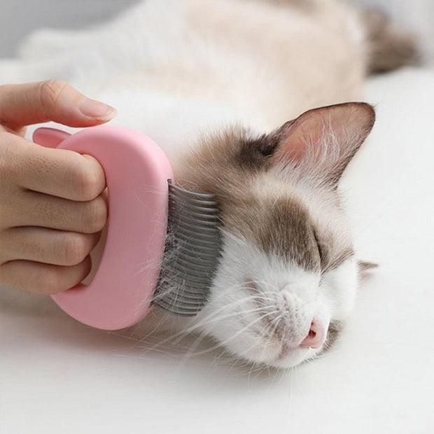 Pet Massage Brush Shell Shaped Handle Pet Grooming Massage Tool To Remove Loose Hairs Only For Cats New - Sunny Side Store