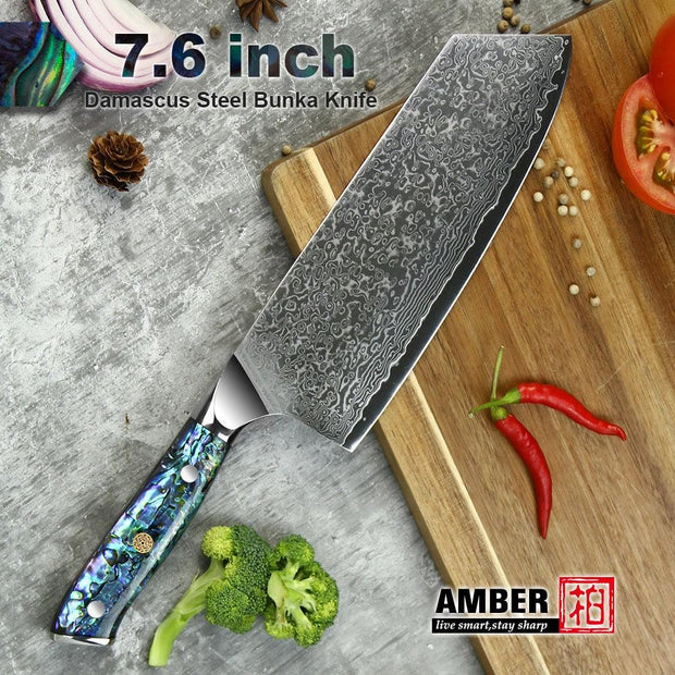 Professional Damascus VG 10 Steel Core 67 layers stainless steel Abalone handle kitchen knives set - Sunny Side Store