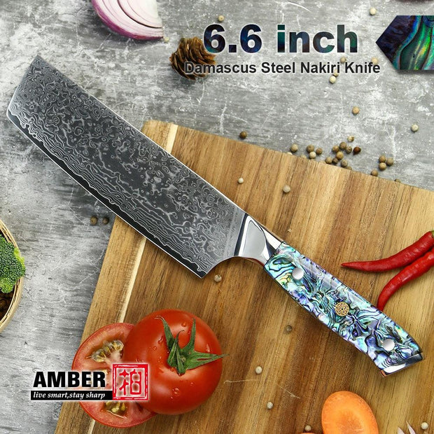 Professional Damascus VG 10 Steel Core 67 layers stainless steel Abalone handle kitchen knives set - Sunny Side Store