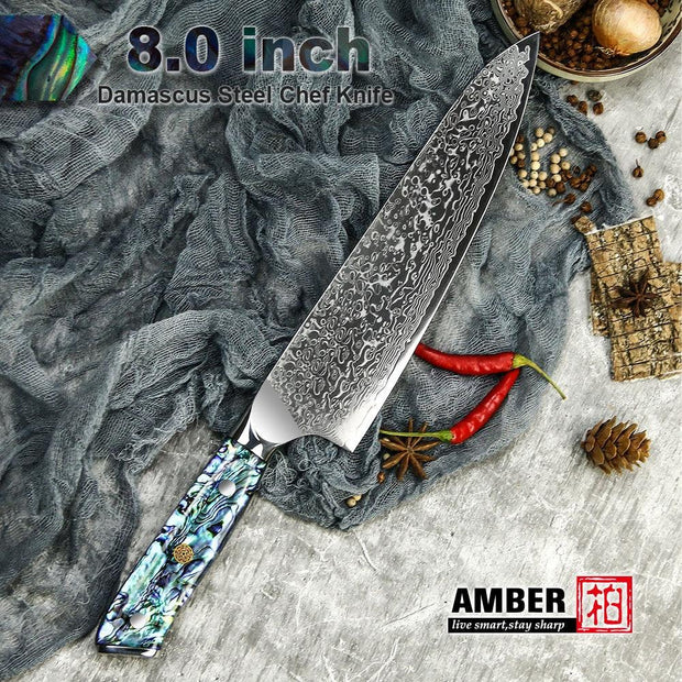 Professional Damascus VG 10 Steel Core 67 layers stainless steel Abalone handle kitchen knives set - Sunny Side Store