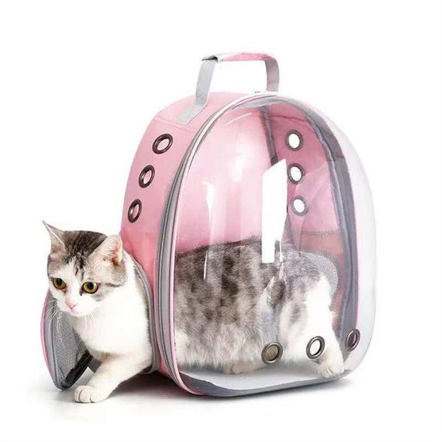 Transparent shell pet bag new fashion trend large capacity space cover cat bag panoramic dog backpack eprolo