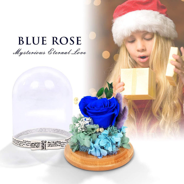 Preserved Flowers Rose for Women Mom Grandma Wife. Forever Eternal Blue Real Rose Gift Thanksgiving Christmas